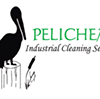 Pelichem Logo  Anniversary